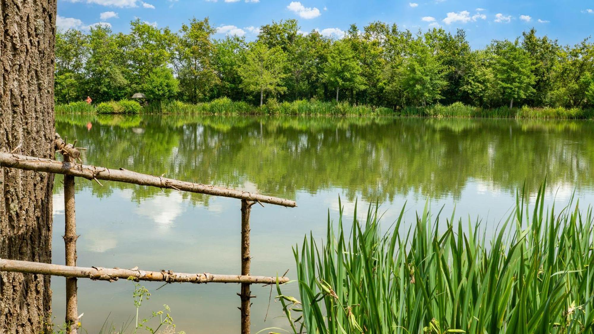 Camping Aubigny-Les Clouzeaux Aubigny  Bagian luar foto